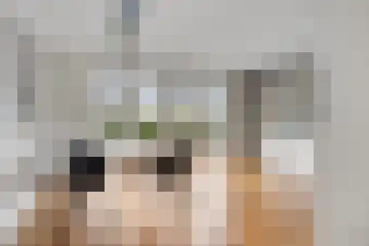 F.C. Dondersstraat 7 Hengelo thumbnail 9