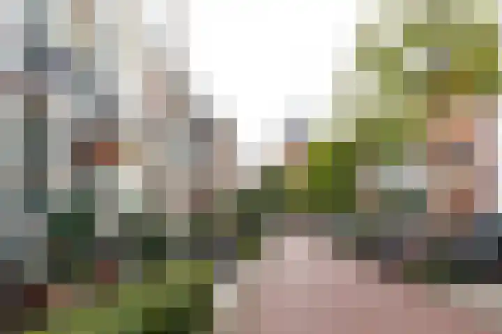 F.C. Dondersstraat 8 A Utrecht thumbnail 17