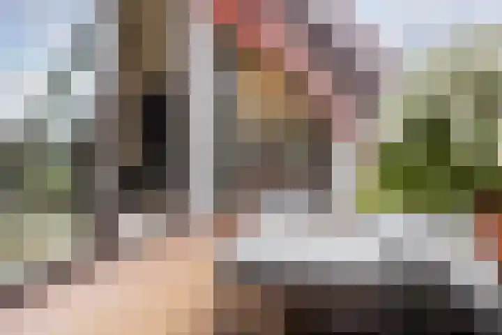 F.C. Dondersstraat 91 Utrecht thumbnail 13