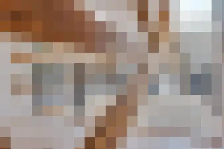 F.C. Dondersstraat 91 Utrecht thumbnail 31
