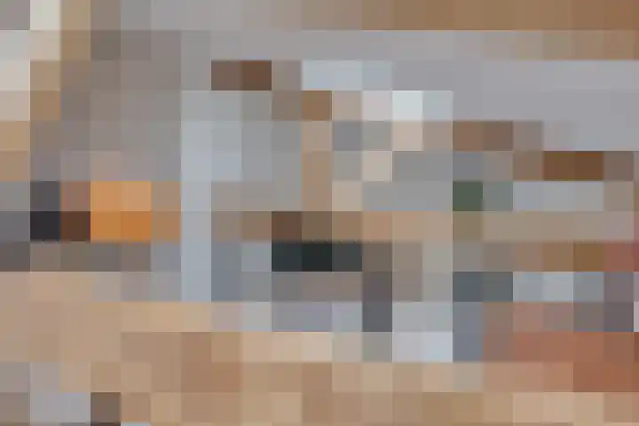 F.C. Dondersstraat 91 Utrecht thumbnail 37