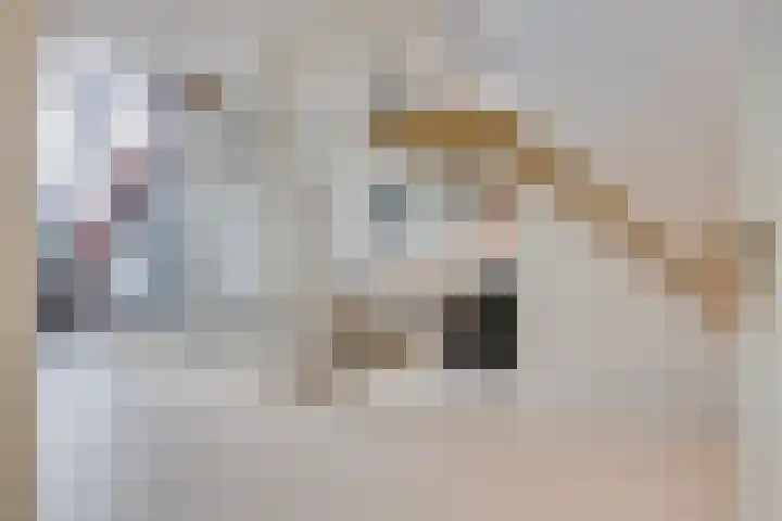F.C. Dondersstraat 91 Utrecht thumbnail 4