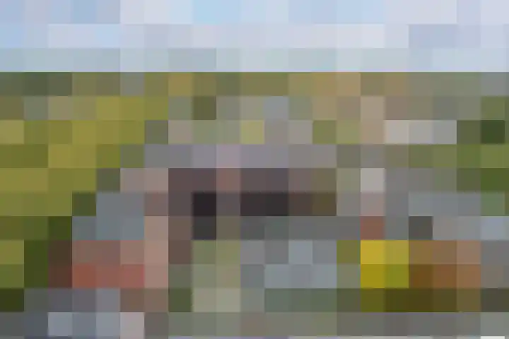 F.C. Dondersstraat 91 Utrecht thumbnail 43