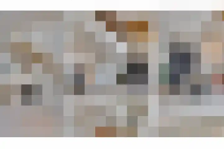 F.C. Dondersstraat 91 Utrecht thumbnail 5