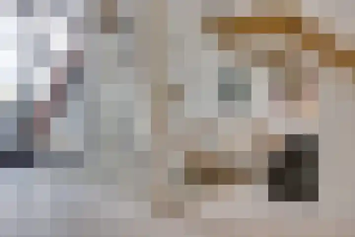 F.C. Dondersstraat 91 Utrecht thumbnail 6