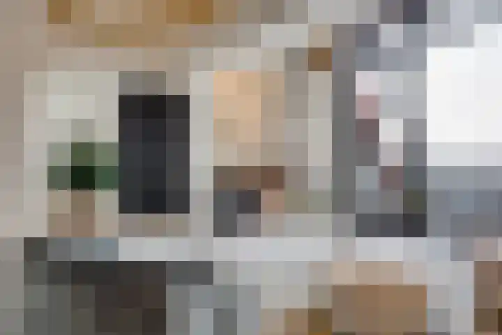 F.C. Dondersstraat 91 Utrecht thumbnail 9