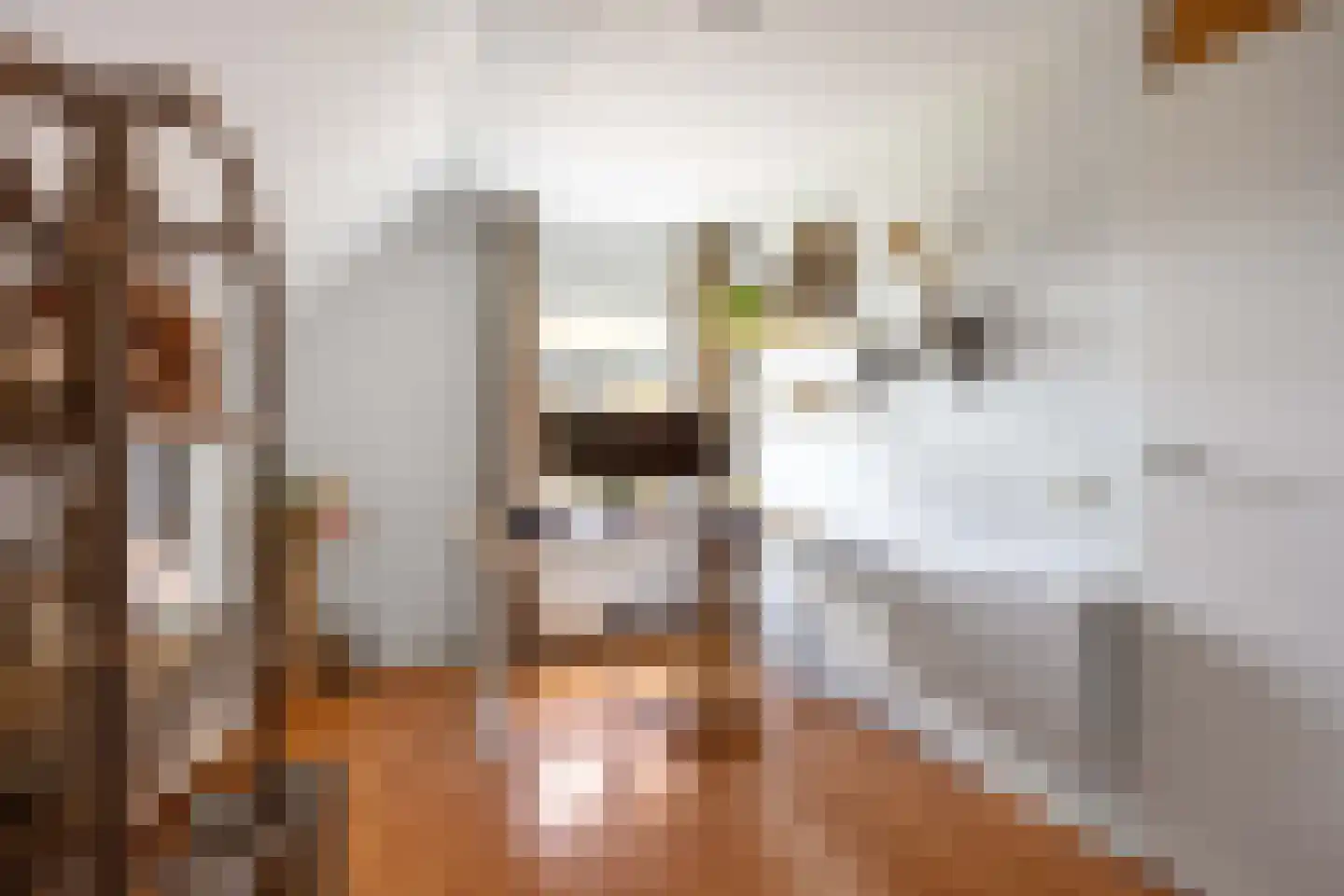 F. Cleveringastraat 49 Wehe-den Hoorn thumbnail 18
