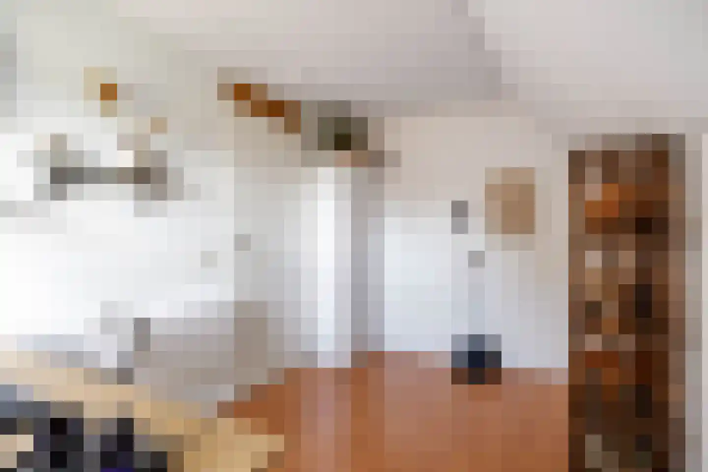 F. Cleveringastraat 49 Wehe-den Hoorn thumbnail 19