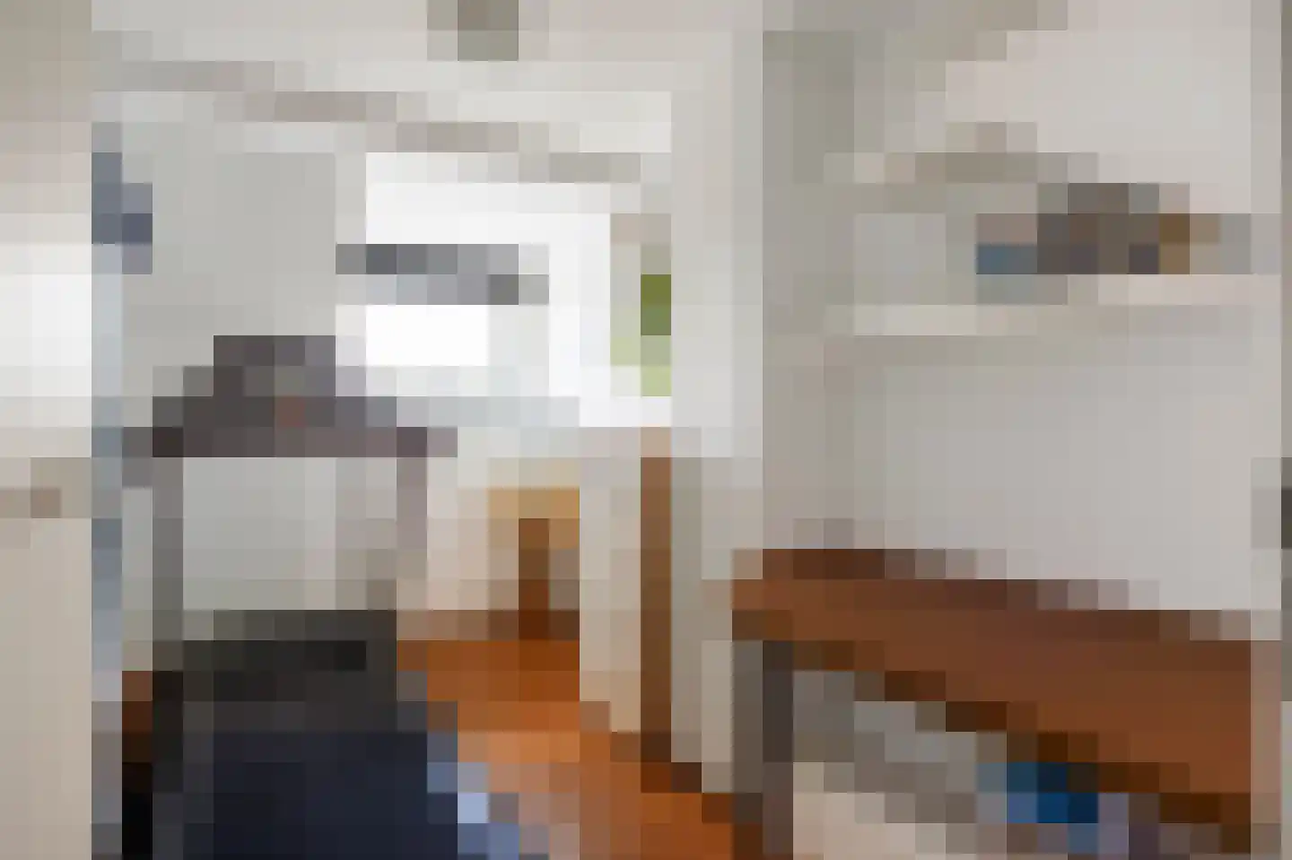 F. Cleveringastraat 49 Wehe-den Hoorn thumbnail 20