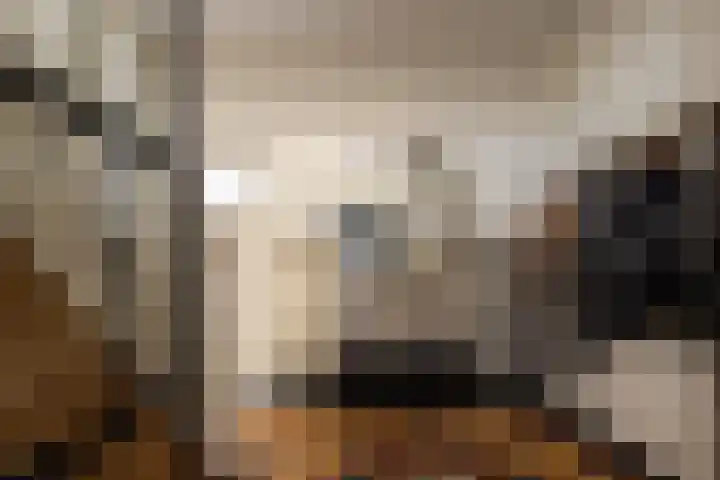 F D Rooseveltsingel 11 Doesburg thumbnail 10