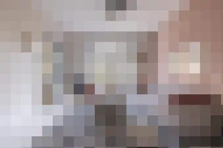 F D Rooseveltsingel 11 Doesburg thumbnail 12