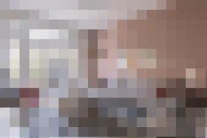 F D Rooseveltsingel 11 Doesburg thumbnail 13