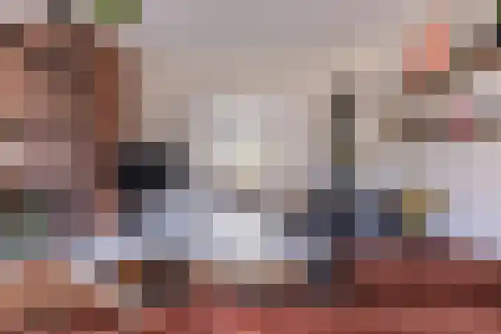 F D Rooseveltsingel 11 Doesburg thumbnail 19