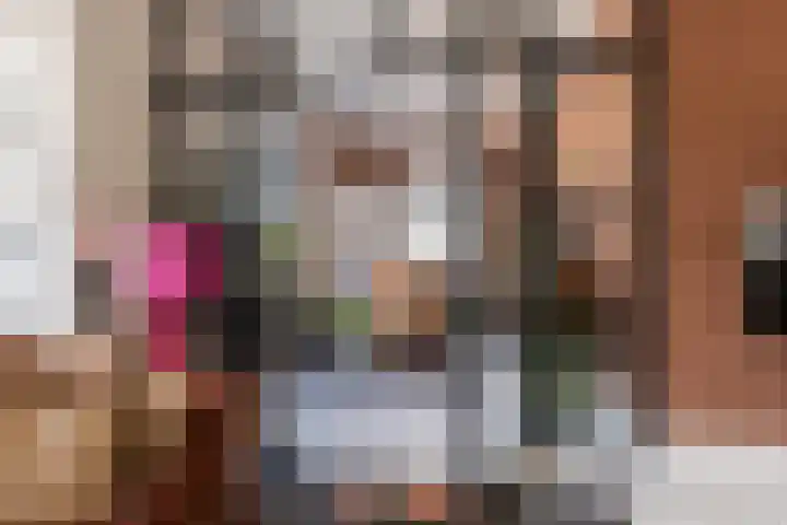 F D Rooseveltsingel 11 Doesburg thumbnail 26