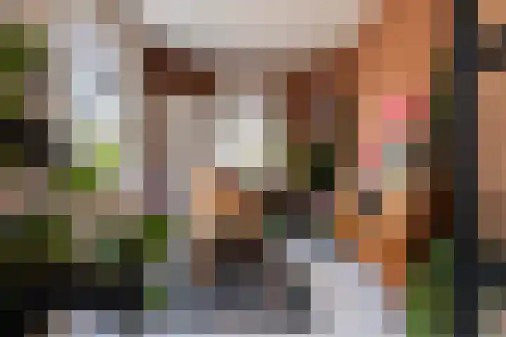 F D Rooseveltsingel 11 Doesburg thumbnail 27
