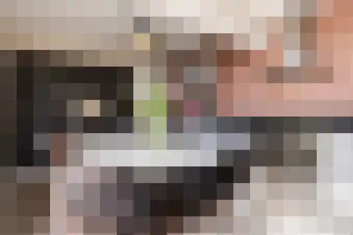 F D Rooseveltsingel 11 Doesburg thumbnail 32