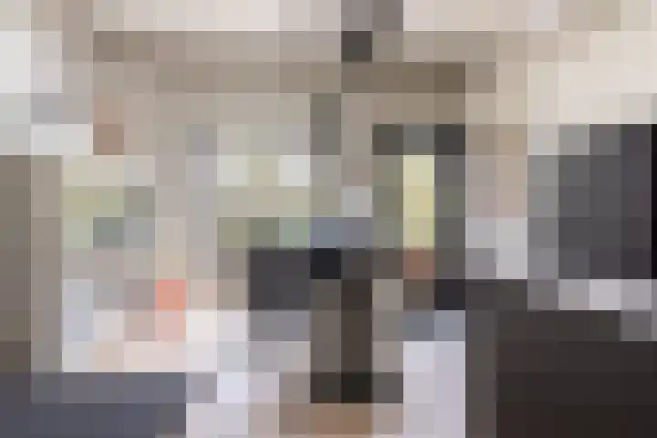 F D Rooseveltsingel 11 Doesburg thumbnail 36