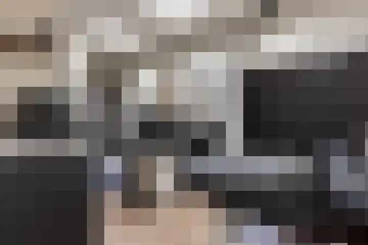 F D Rooseveltsingel 11 Doesburg thumbnail 37