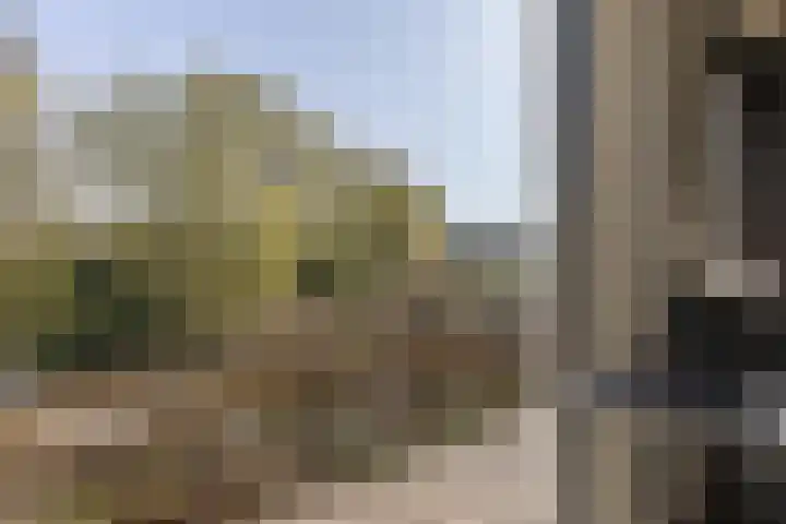 F D Rooseveltsingel 11 Doesburg thumbnail 38