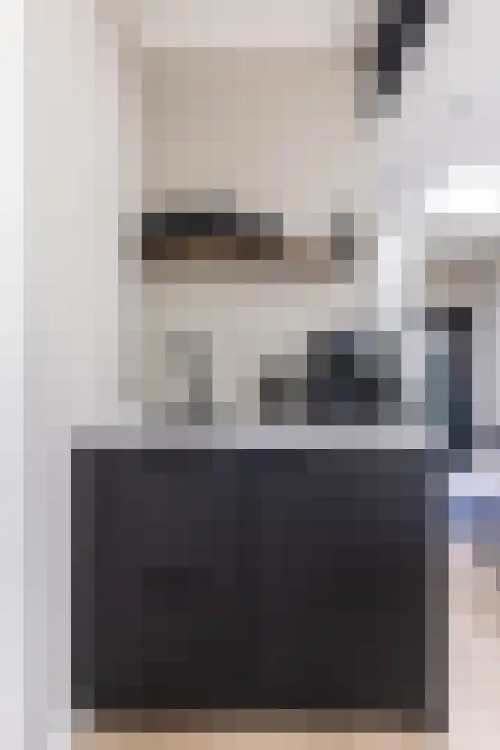 F D Rooseveltsingel 11 Doesburg thumbnail 39