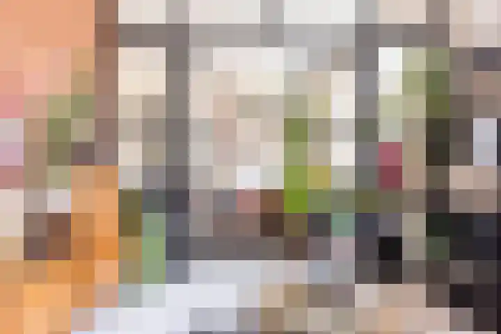 F D Rooseveltsingel 11 Doesburg thumbnail 4