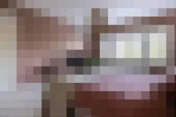 F D Rooseveltsingel 11 Doesburg thumbnail 45