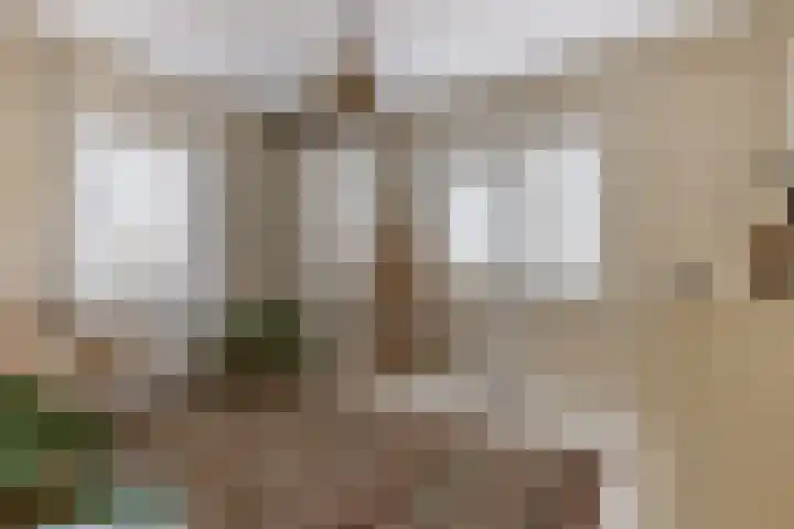 F D Rooseveltsingel 11 Doesburg thumbnail 46