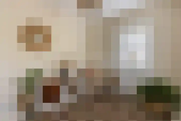 F D Rooseveltsingel 11 Doesburg thumbnail 47