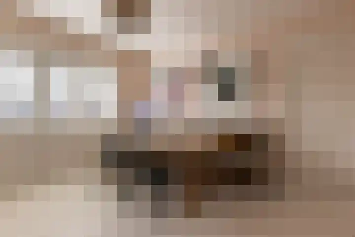 F D Rooseveltsingel 11 Doesburg thumbnail 49