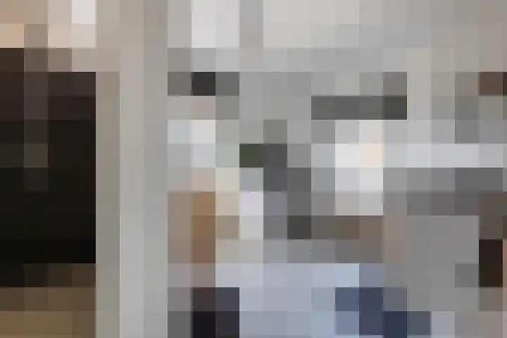 F D Rooseveltsingel 11 Doesburg thumbnail 51