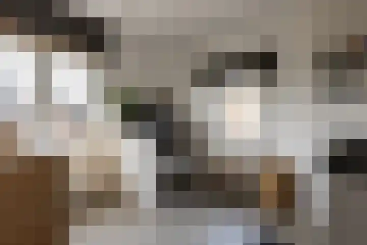 F D Rooseveltsingel 11 Doesburg thumbnail 52