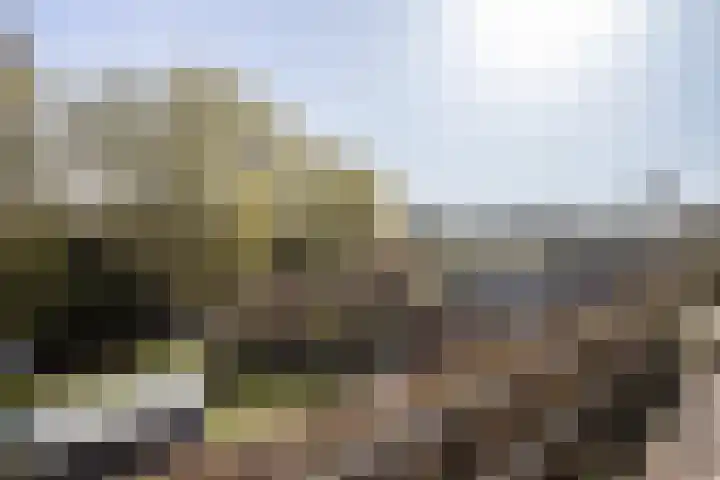 F D Rooseveltsingel 11 Doesburg thumbnail 67
