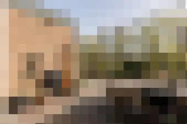 F D Rooseveltsingel 11 Doesburg thumbnail 69