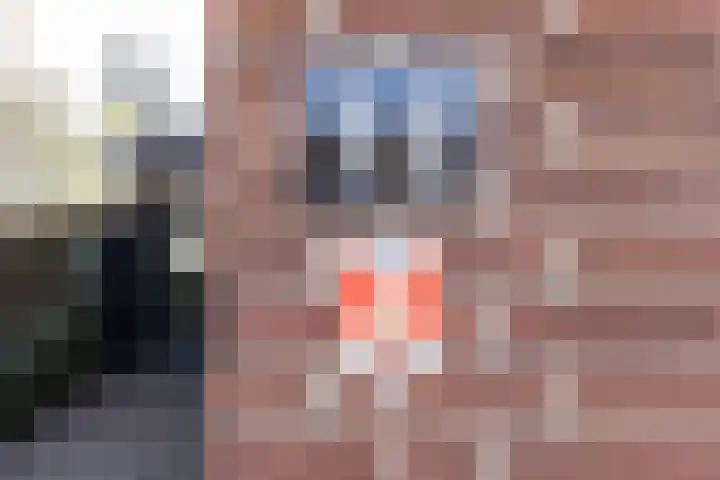 F D Rooseveltsingel 11 Doesburg thumbnail 7