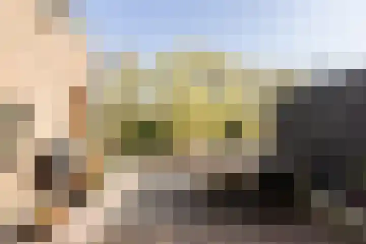 F D Rooseveltsingel 11 Doesburg thumbnail 70
