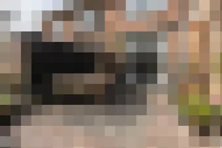 F D Rooseveltsingel 11 Doesburg thumbnail 71