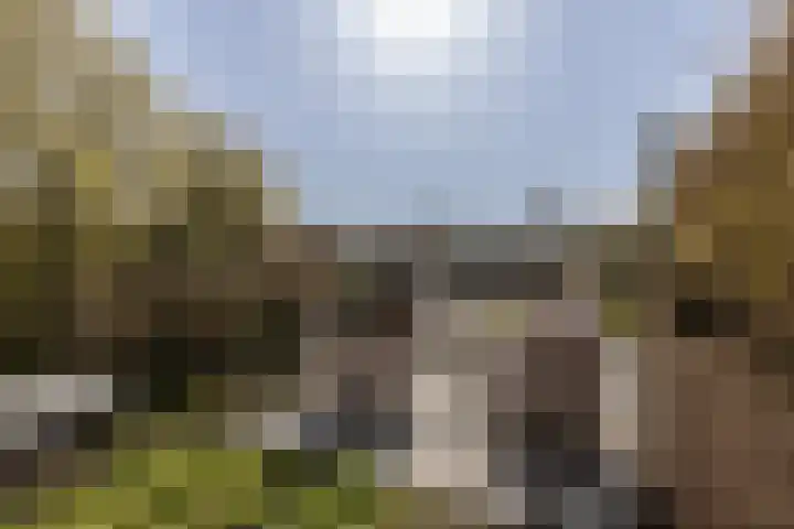 F D Rooseveltsingel 11 Doesburg thumbnail 72