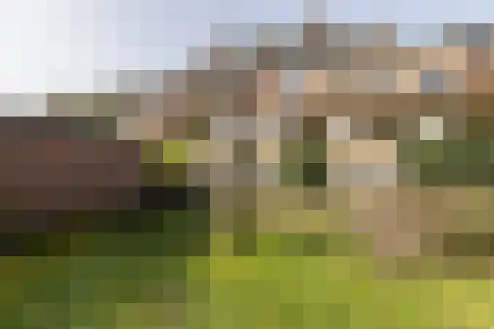 F D Rooseveltsingel 11 Doesburg thumbnail 73