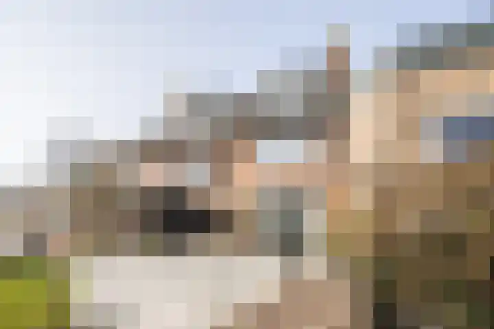 F D Rooseveltsingel 11 Doesburg thumbnail 74