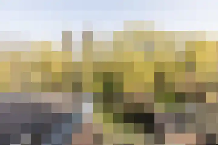 F D Rooseveltsingel 11 Doesburg thumbnail 76