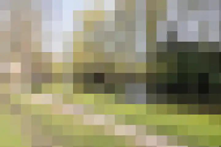 F D Rooseveltsingel 11 Doesburg thumbnail 77