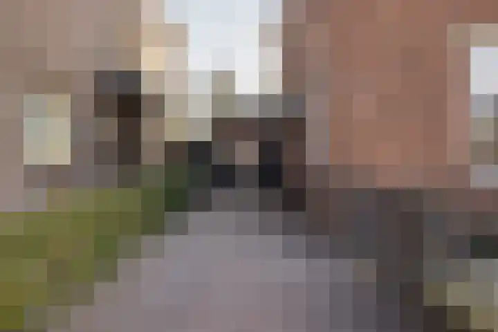 F D Rooseveltsingel 11 Doesburg thumbnail 8