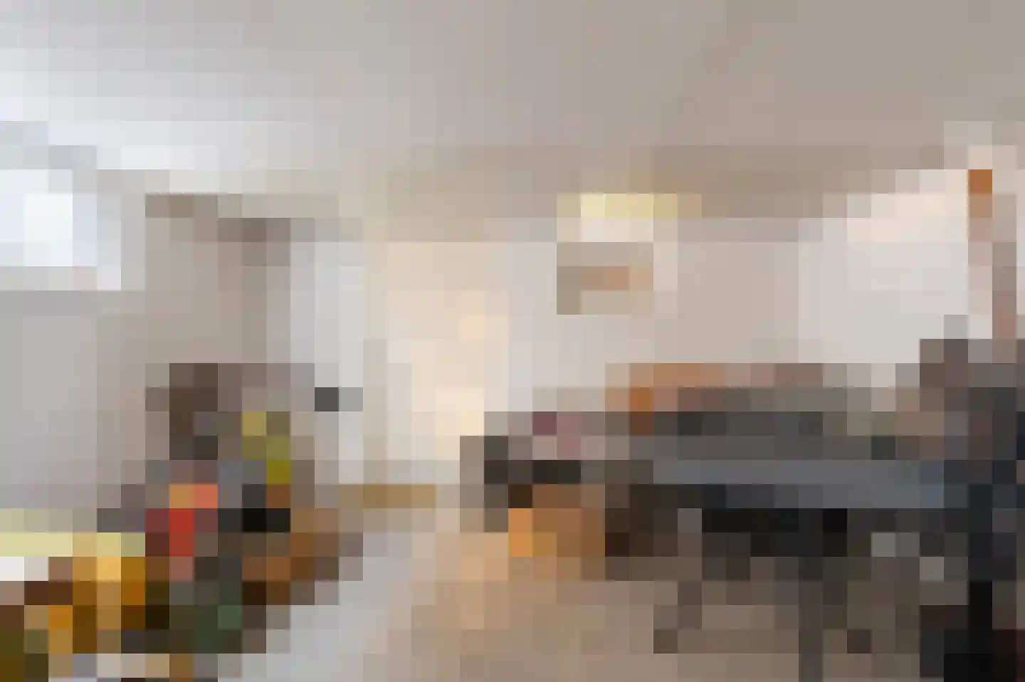F D Rooseveltsingel 23 Doesburg thumbnail 21