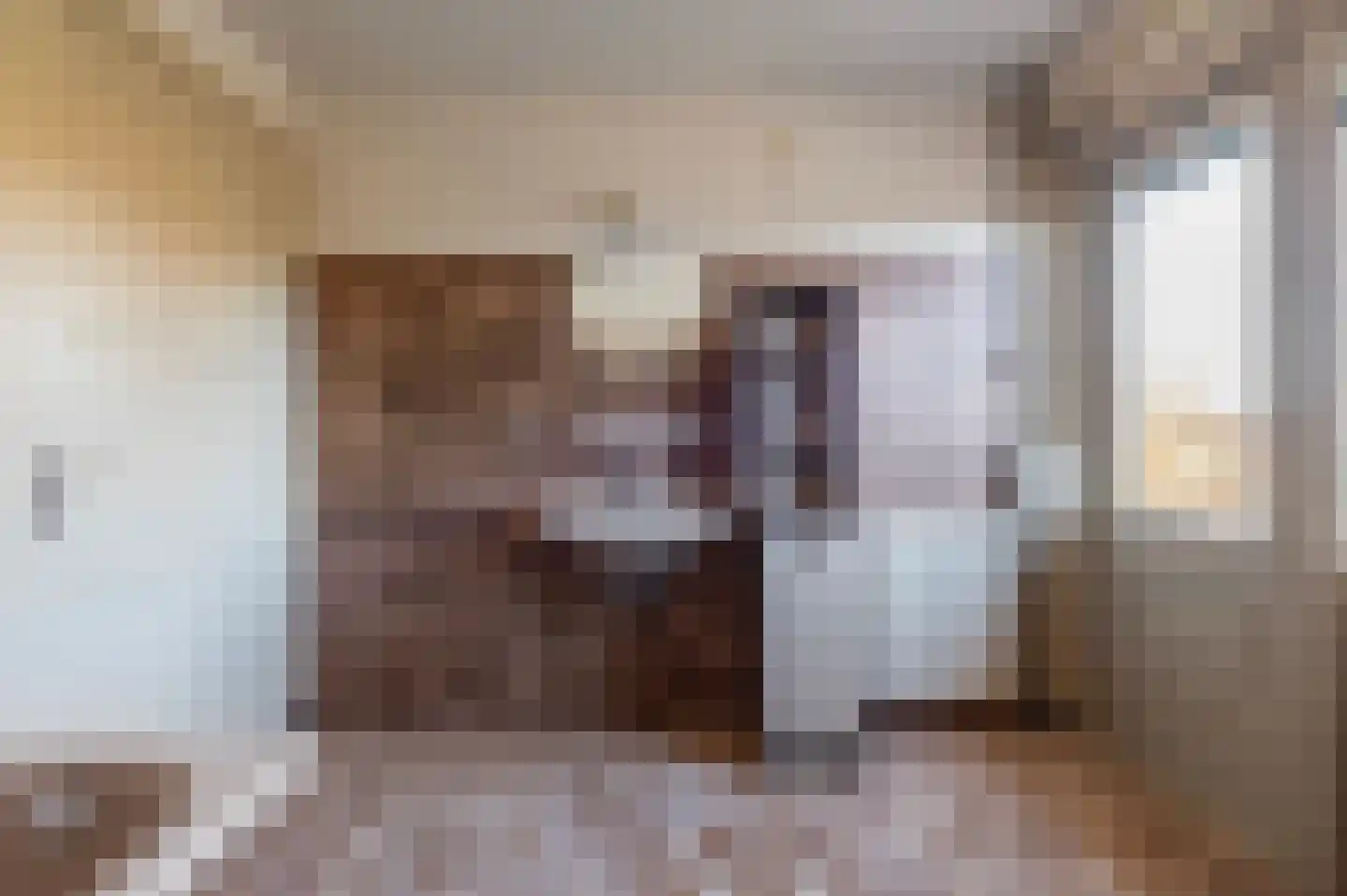 F D Rooseveltsingel 23 Doesburg thumbnail 27