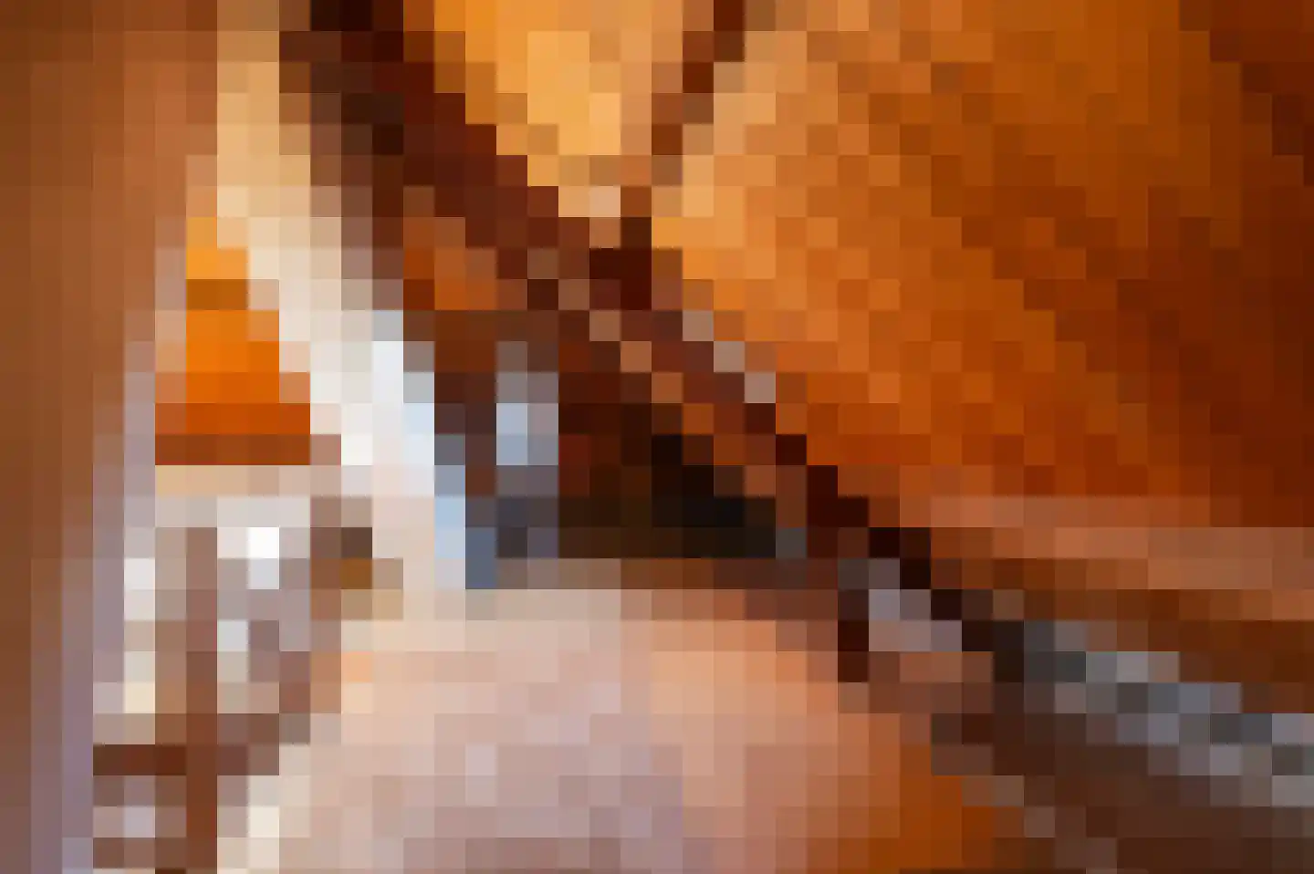 F D Rooseveltsingel 23 Doesburg thumbnail 32