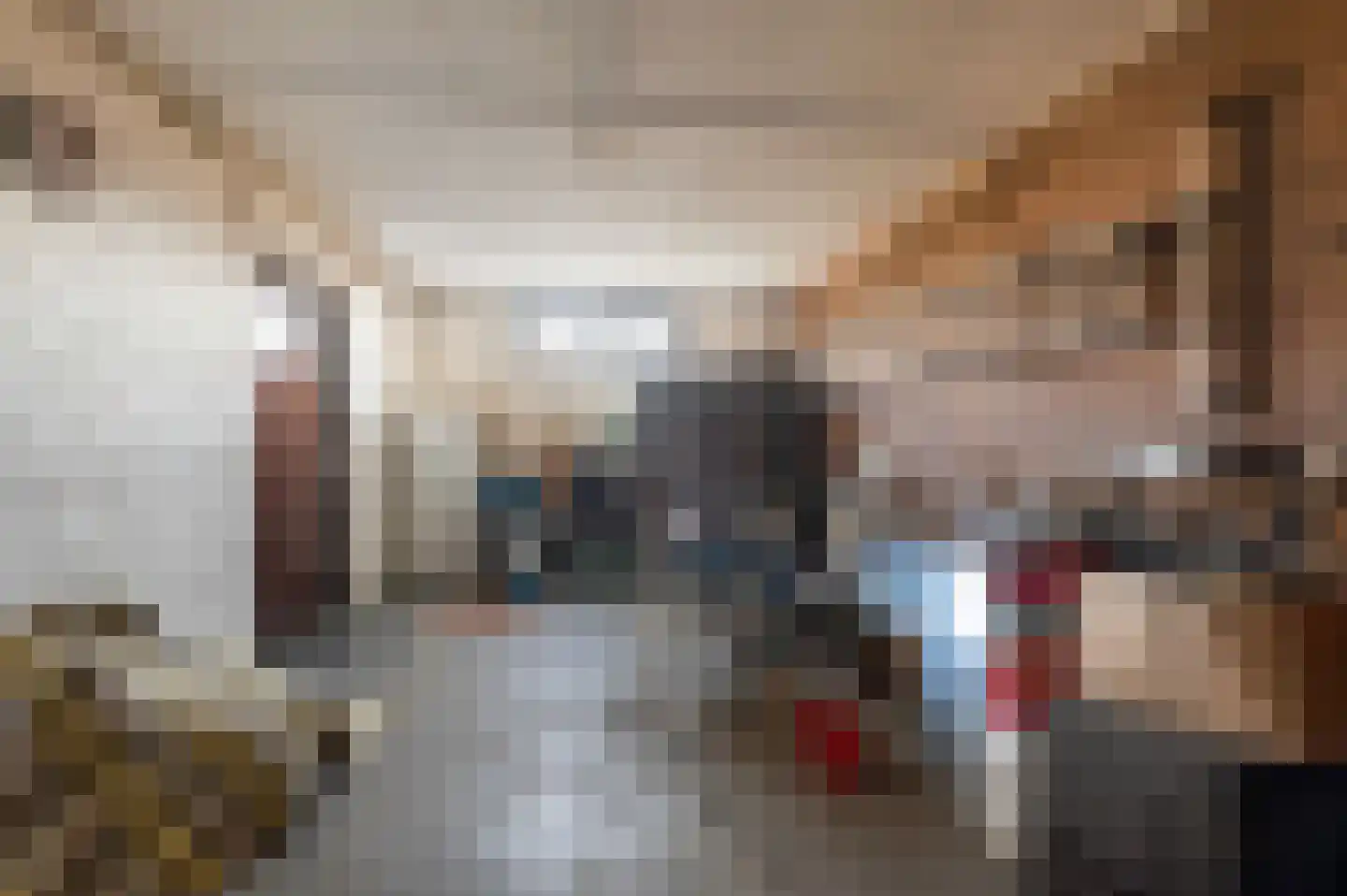 F D Rooseveltsingel 23 Doesburg thumbnail 33