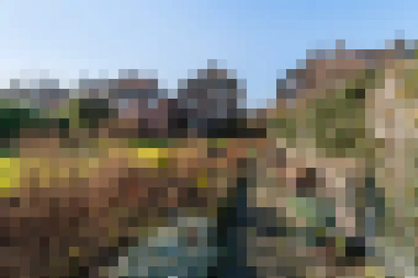 F D Rooseveltsingel 23 Doesburg thumbnail 36