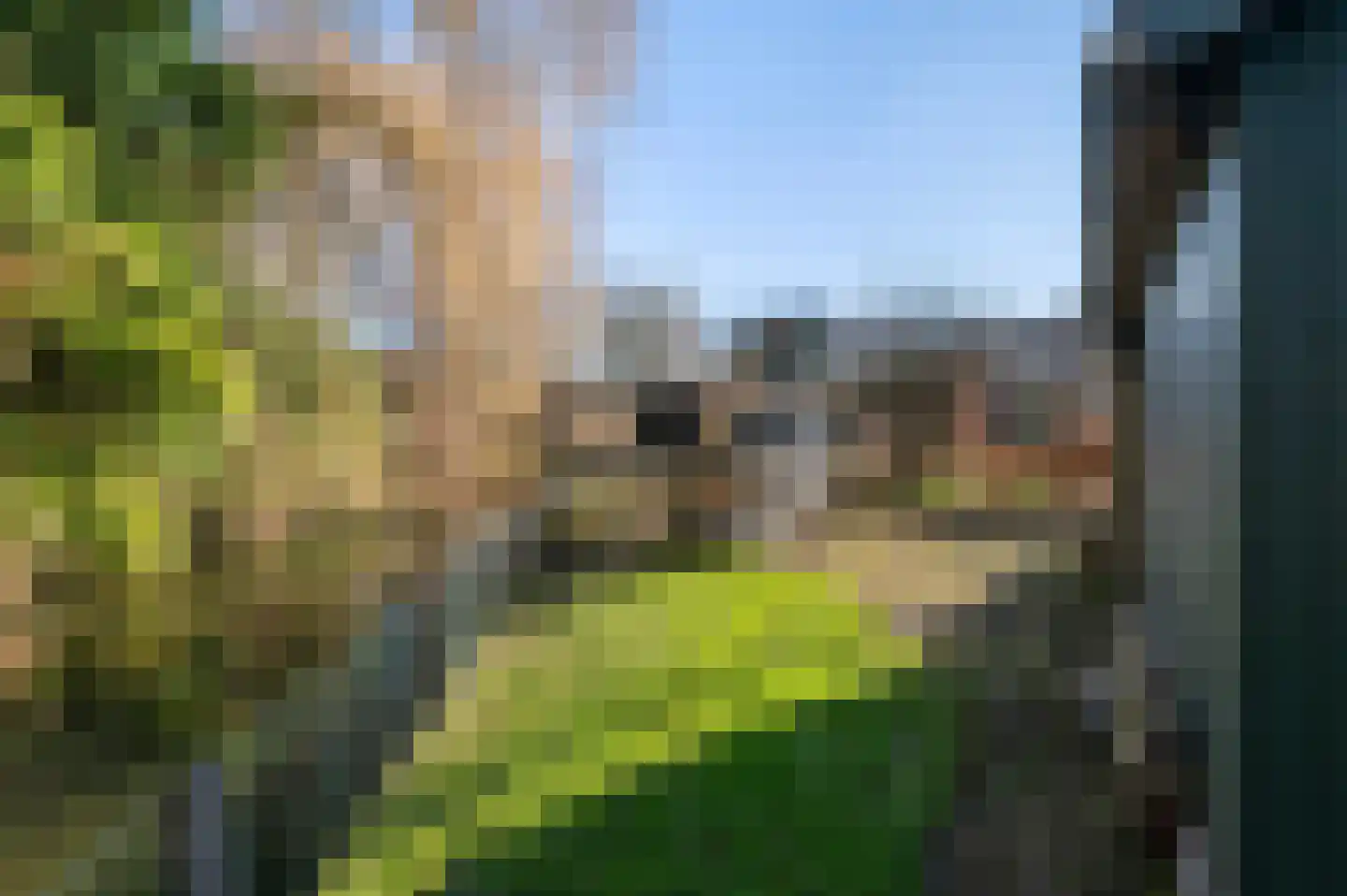 F D Rooseveltsingel 23 Doesburg thumbnail 38