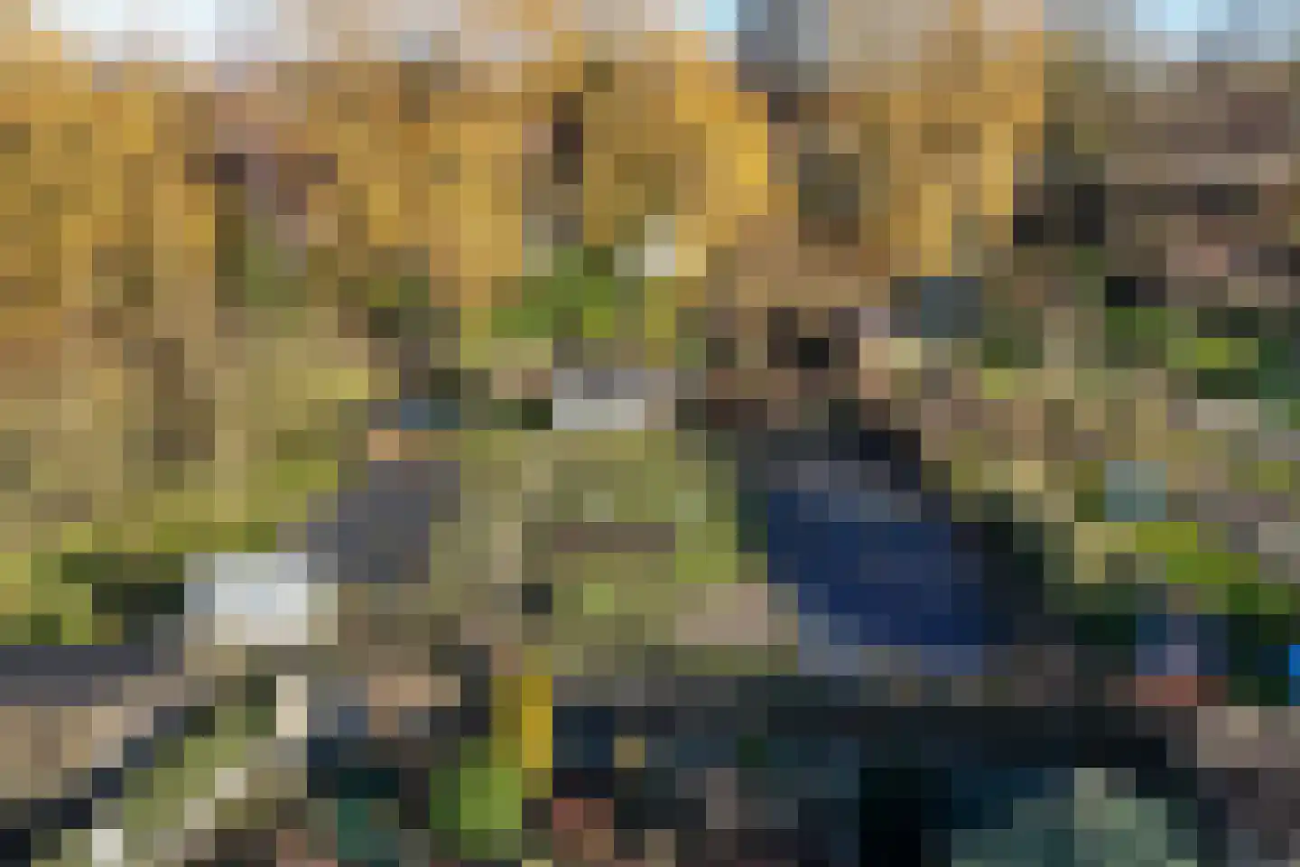 F D Rooseveltsingel 23 Doesburg thumbnail 4