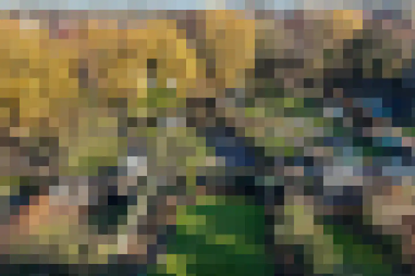 F D Rooseveltsingel 23 Doesburg thumbnail 41